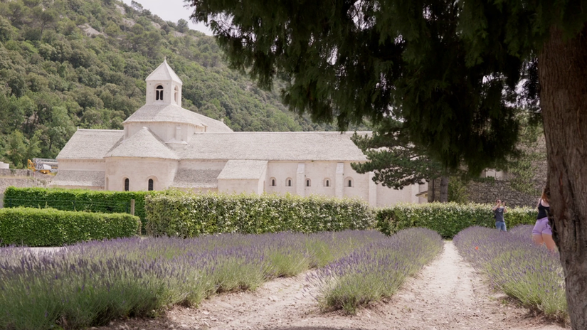 ESSCA - Summer programme 2023